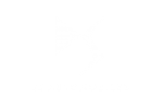 ds_automobiles